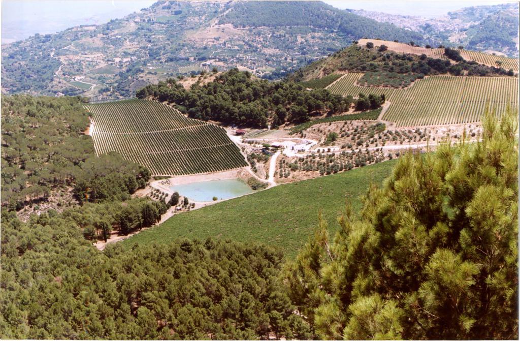 Agriturismo Tenute Pispisa Segesta Calatafimi Exterior foto